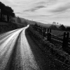 Road after Rain, Northern California, c. 1960 - Ансел Эстон Адамс (Ansel Easton Adams)
